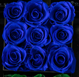Forever Rose Bundle