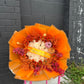 I’m Falling For You Round Bouquet