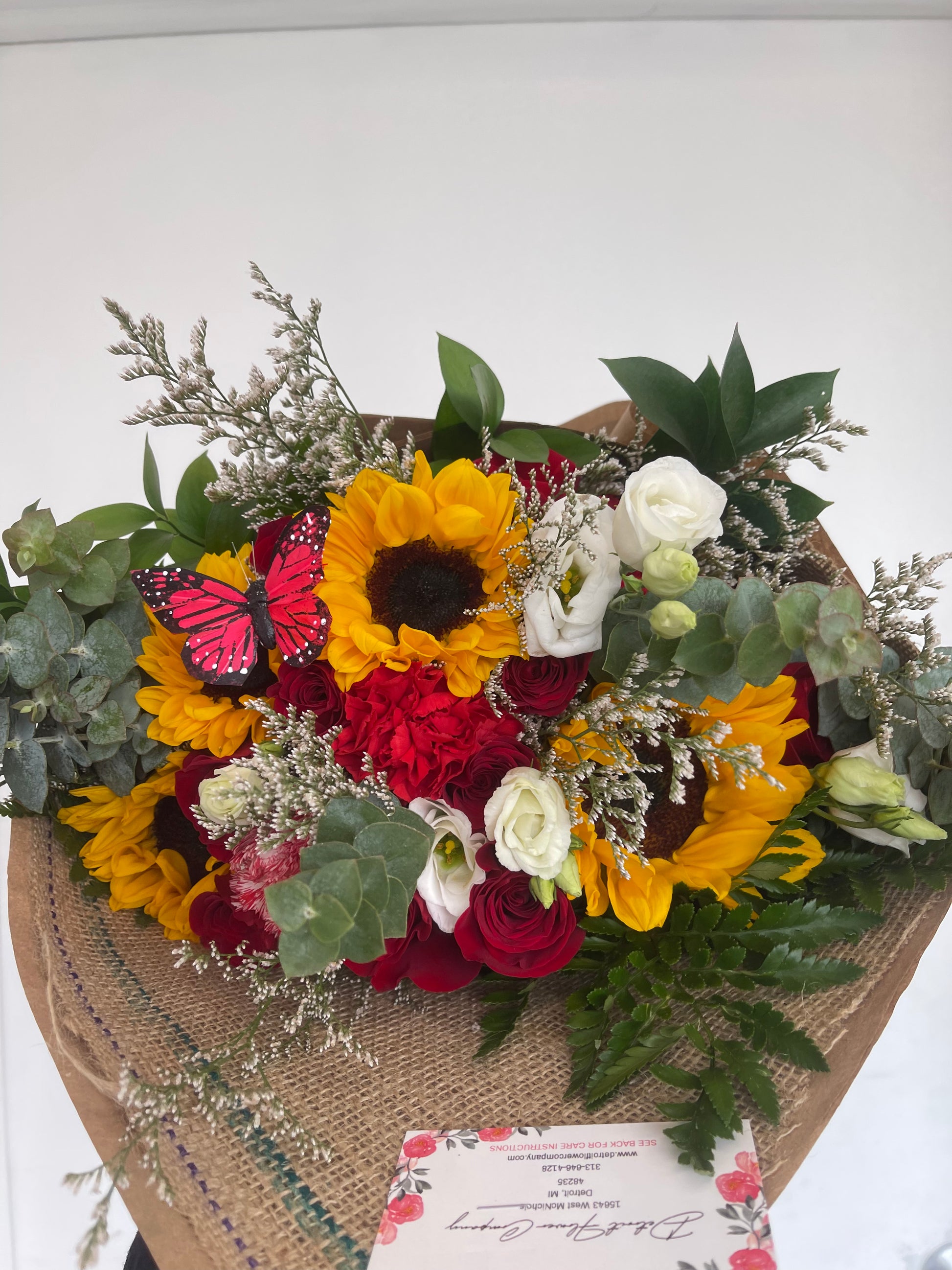 One Dozen Roses Wrapped - color choice - from Viviano Flower Shop, Detroit  MI Florist